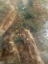 IMG_5812.jpeg