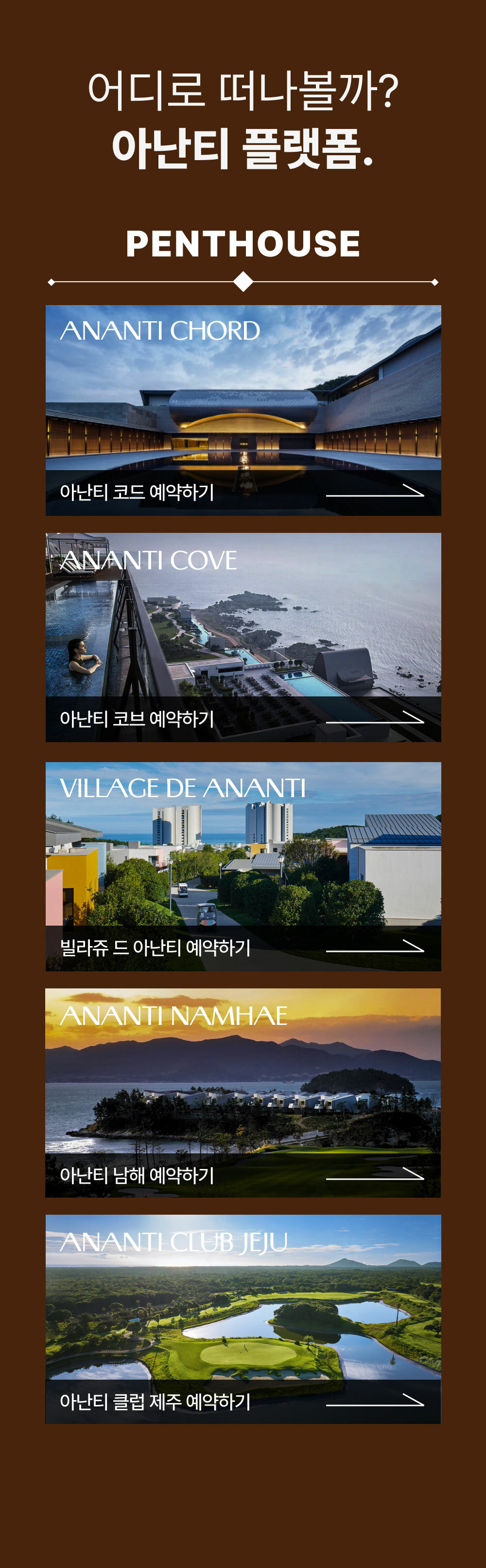 ananti 20 YEARS Journey