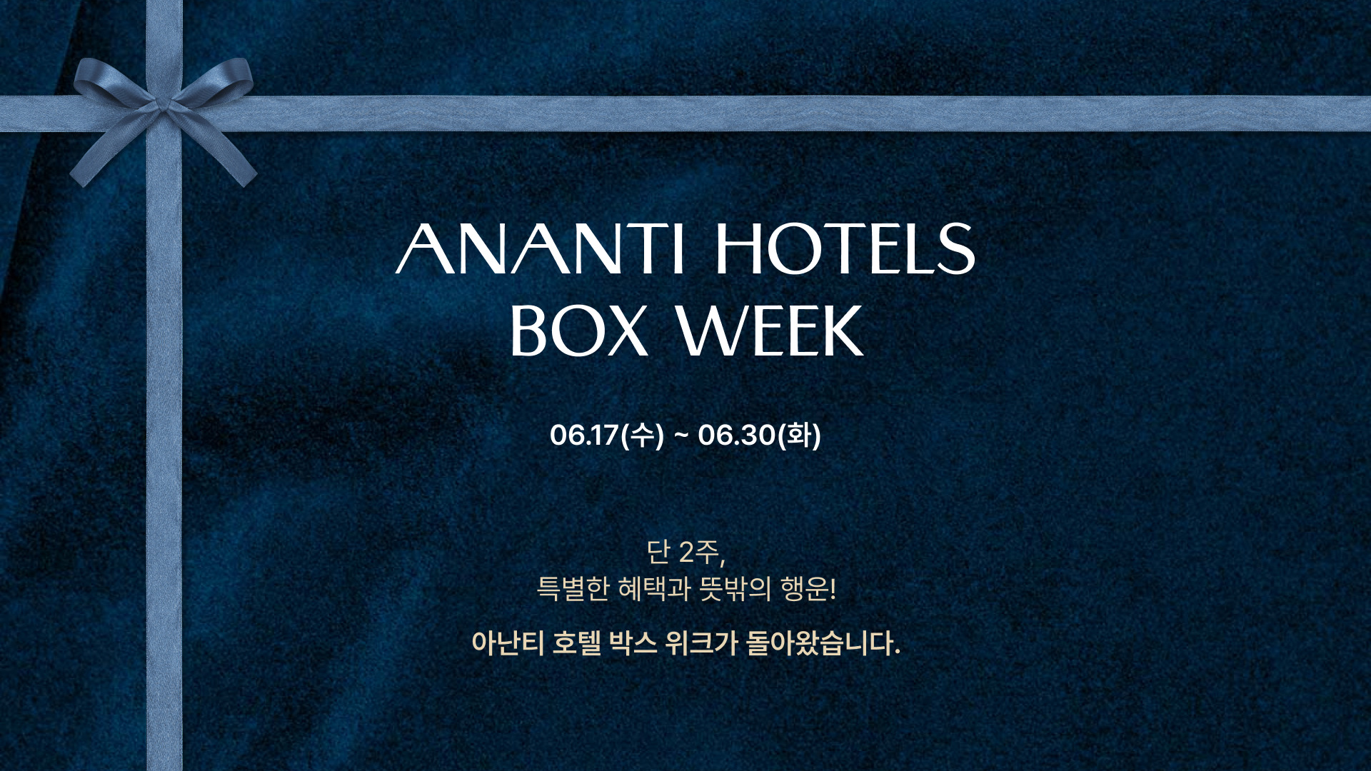 아난티 박스위크