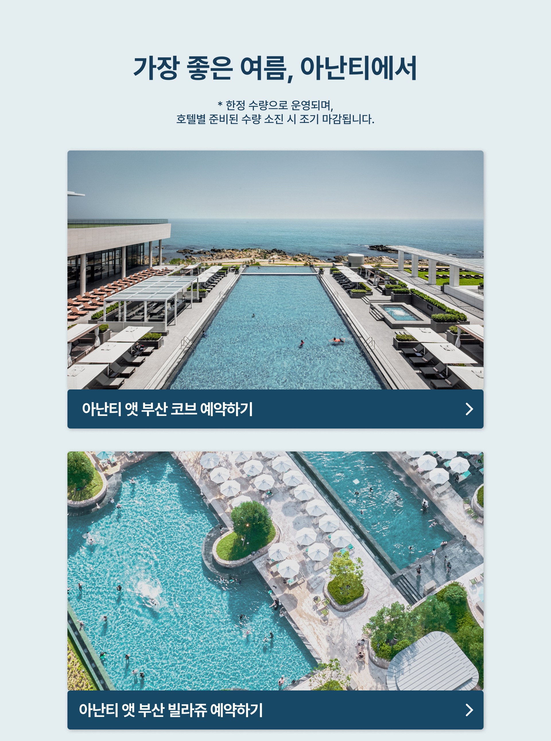 아난티 박스위크