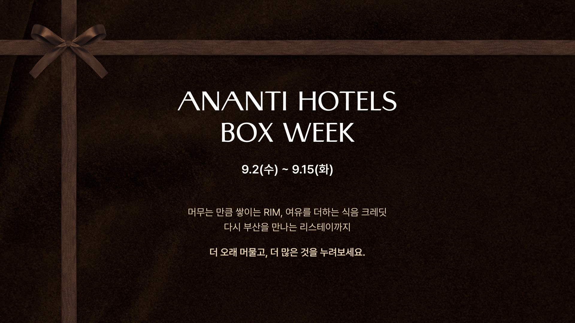 아난티 박스위크