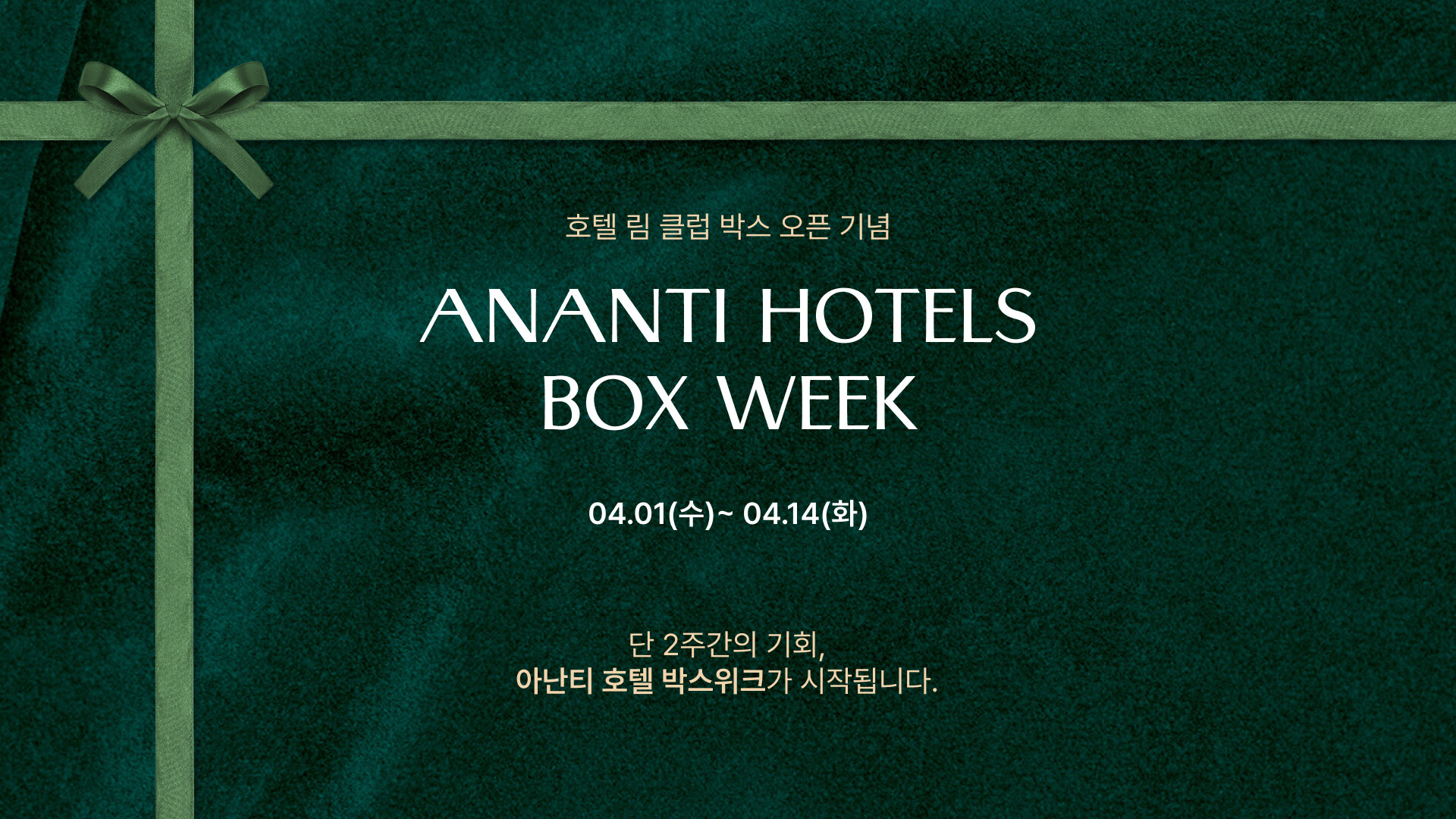 아난티 호텔 박스 위크
